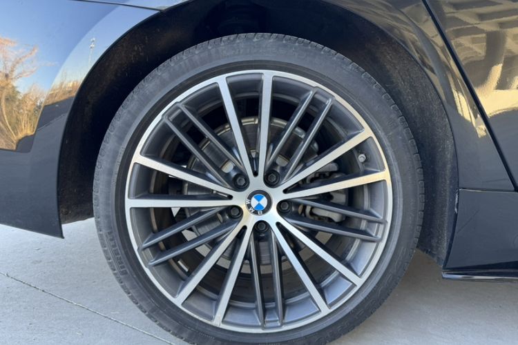 Used BMW 5 Series 2020 530Li Luxury Edition M Sport Package Exterior 7