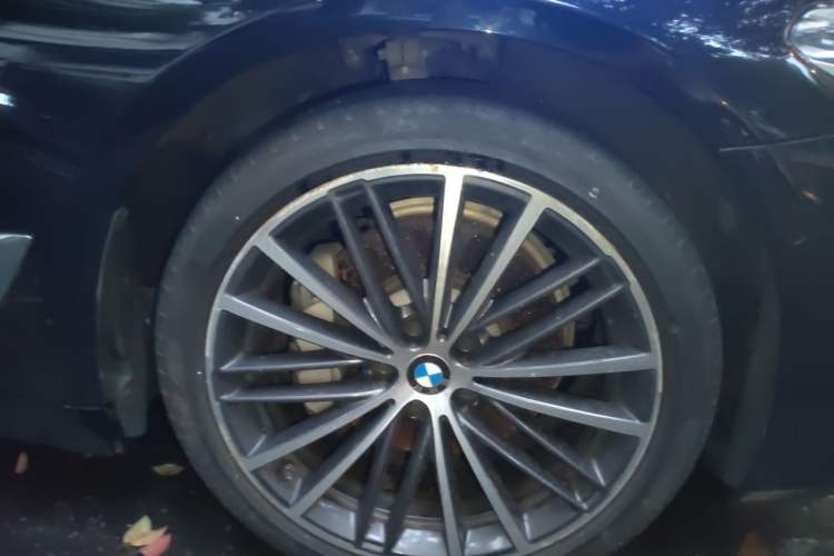 Used BMW 5 Series 2020 530Li Luxury Edition M Sport Package Exterior 7