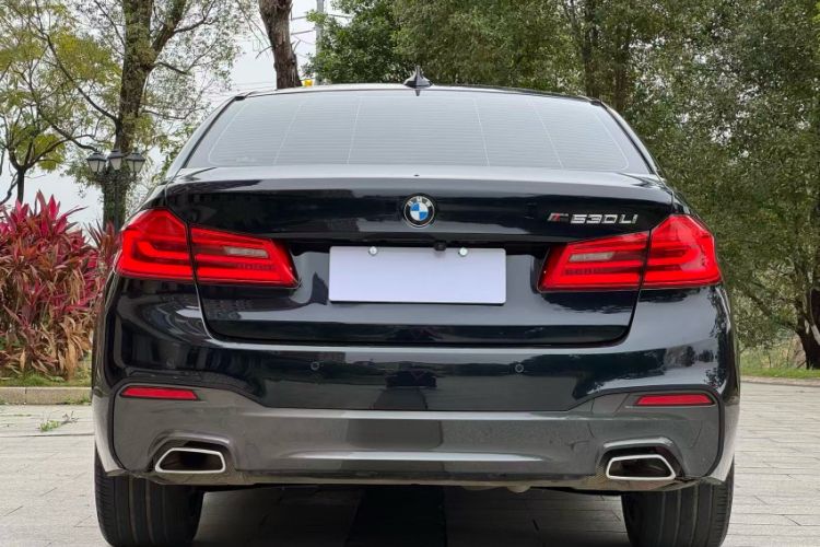 Used BMW 5 Series 2020 530Li Luxury Edition M Sport Package Exterior 7
