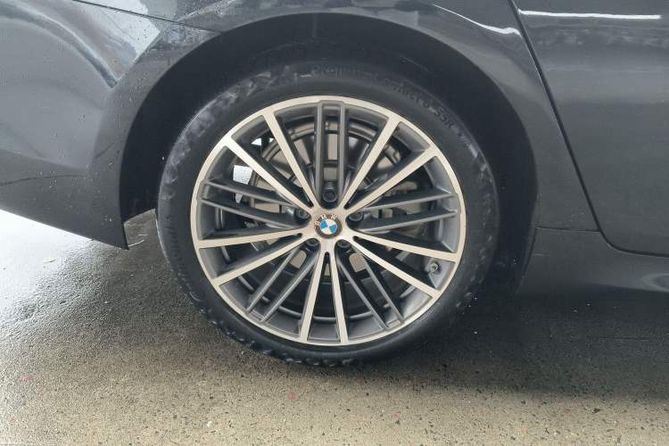 Used BMW 5 Series 2020 530Li Leading Model M Sport Package Exterior 8