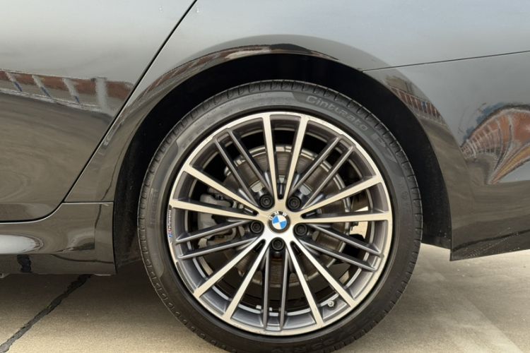 Used BMW 5 Series 2020 530Li Leading Model M Sport Package Exterior 8