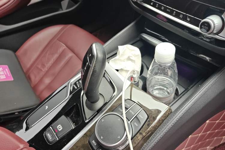 Used BMW 5 Series 2020 530Li Leading Model M Sport Package Gear Lever