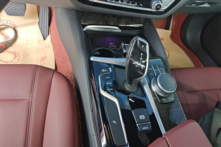 Used BMW 5 Series 2020 530Li Leading Model M Sport Package Gear Lever