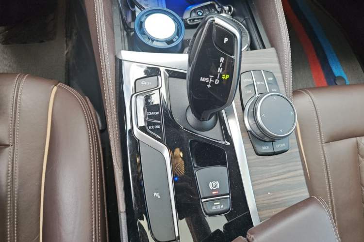 Used BMW 5 Series 2020 530Li xDrive Luxury Package Gear Lever