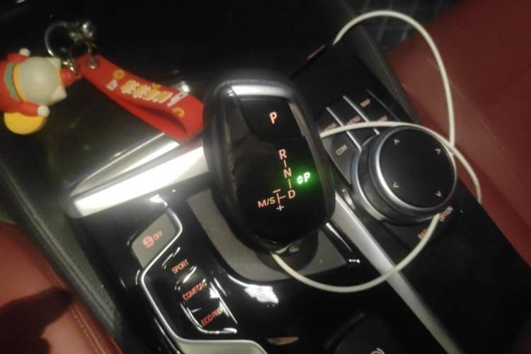 Used BMW 5 Series 2020 530Li Leading Model M Sport Package Gear Lever