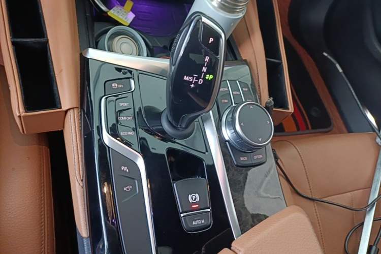 Used BMW 5 Series 2020 530Li Luxury Edition M Sport Package Gear Lever