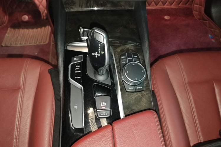 Used BMW 5 Series 2020 530Li Leading Model M Sport Package Gear Lever