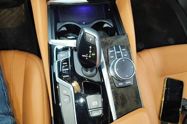 Used BMW 5 Series 2020 530Li Luxury Edition M Sport Package Gear Lever
