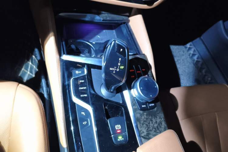 Used BMW 5 Series 2020 530Li Luxury Edition M Sport Package Gear Lever