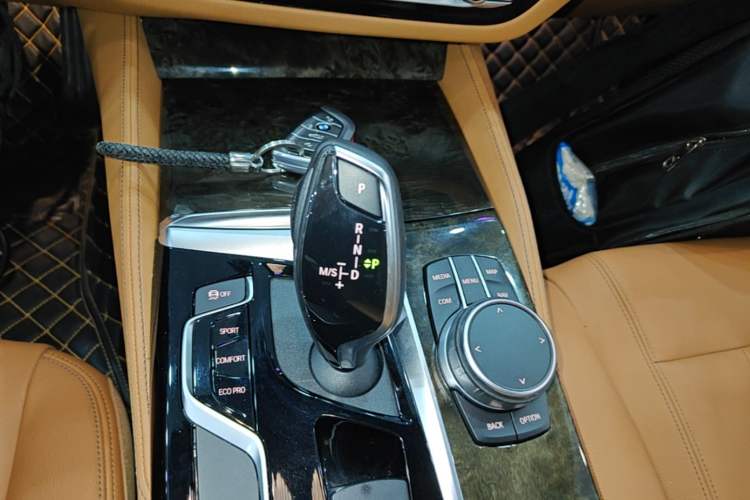 Used BMW 5 Series 2020 530Li Leading Model M Sport Package Gear Lever