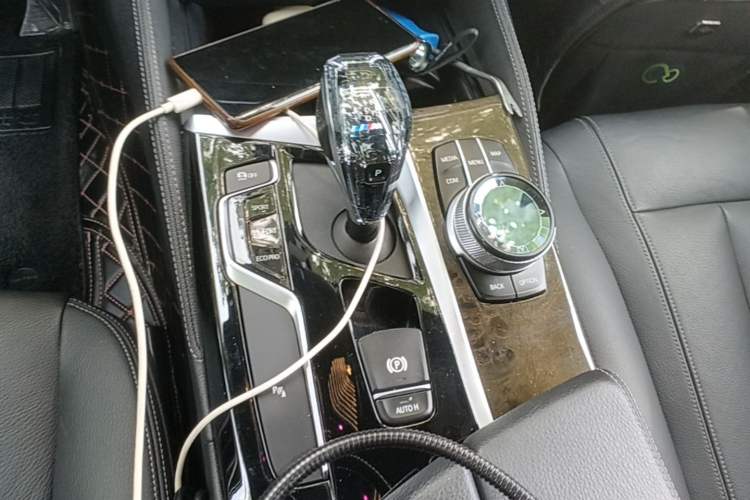 Used BMW 5 Series 2020 530Li Leading Model M Sport Package Gear Lever