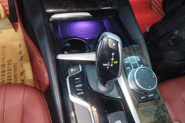 Used BMW 5 Series 2020 530Li Leading Model M Sport Package Gear Lever