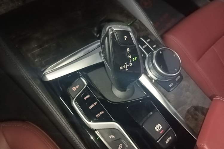 Used BMW 5 Series 2020 530Li Leading Model M Sport Package Gear Lever