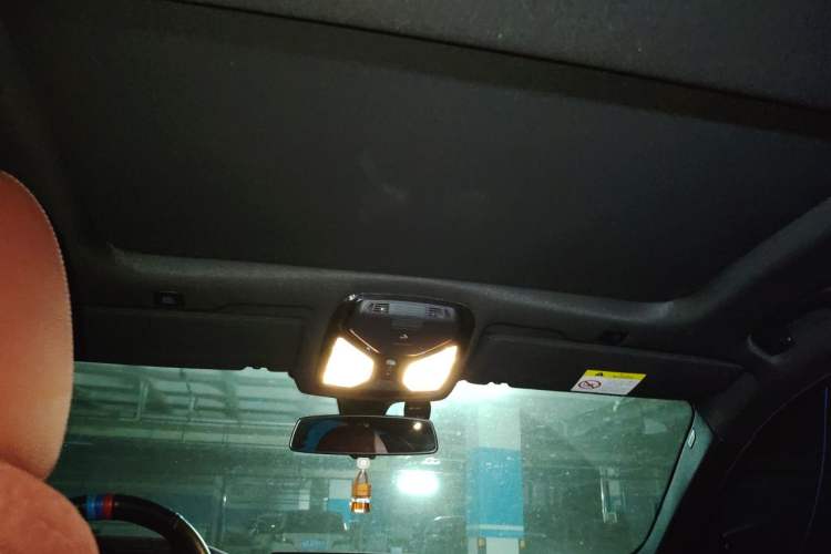 Used BMW 5 Series 2020 530Li xDrive M Sport Package Headliner