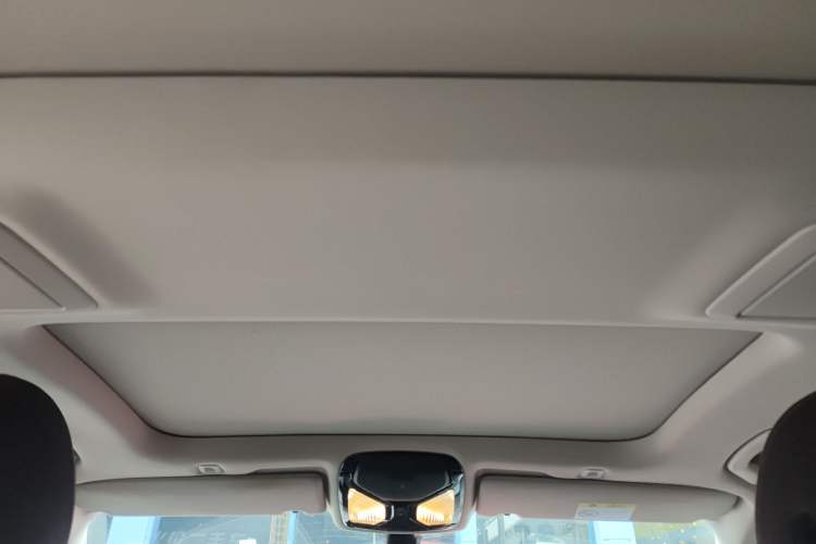 Used BMW 5 Series 2020 530Li Leading Edition Luxury Package Headliner
