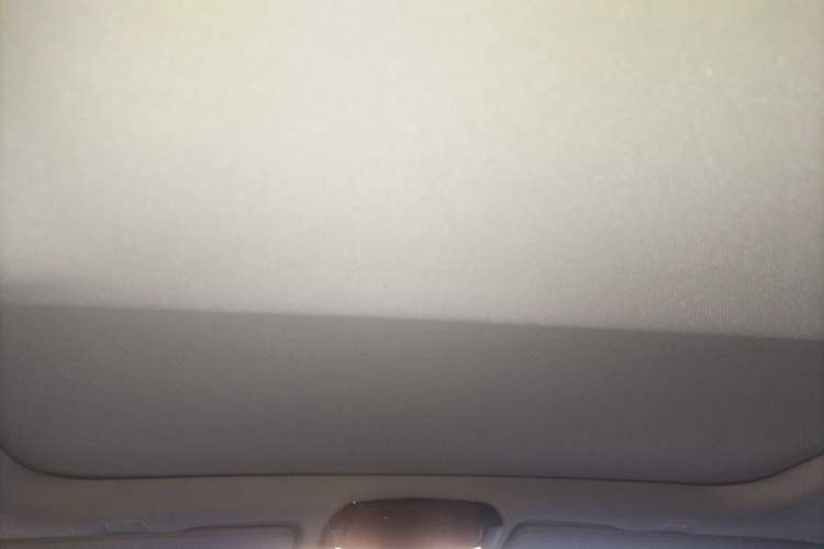 Used BMW 5 Series 2020 530Li Luxury Edition Premium Package Headliner