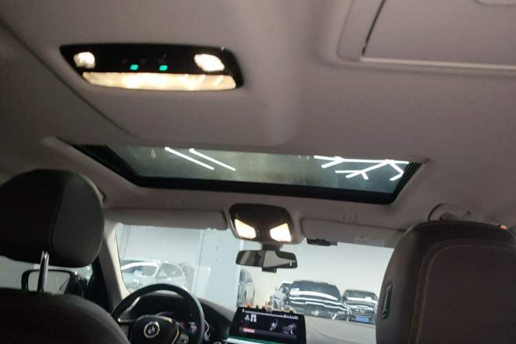Used BMW 5 Series 2020 525Li Luxury Package Headliner