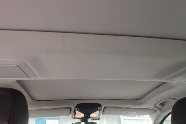 Used BMW 5 Series 2020 530Li Leading Edition Luxury Package Headliner