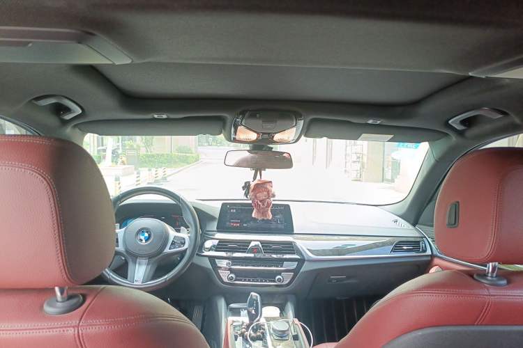 Used BMW 5 Series 2020 530Li Leading Model M Sport Package Headliner