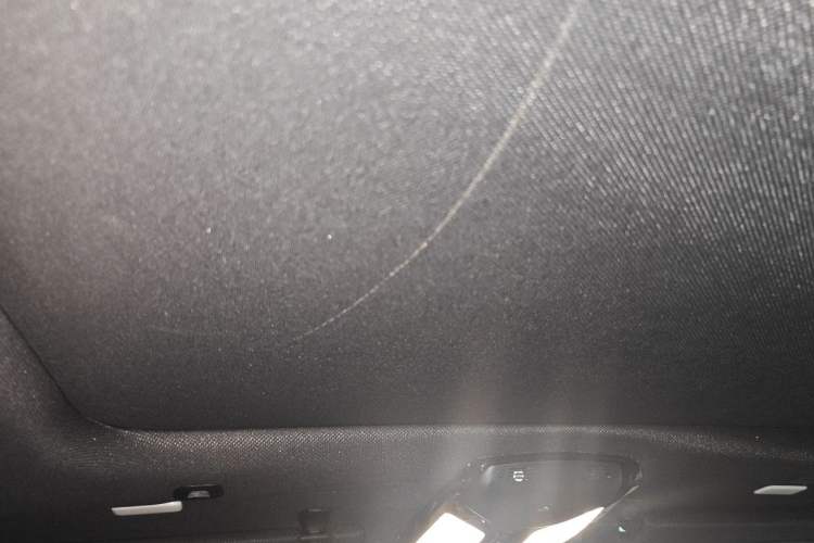 Used BMW 5 Series 2020 530Li Leading Model M Sport Package Headliner