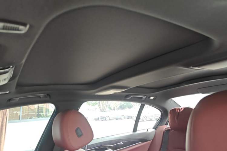 Used BMW 5 Series 2020 530Li Leading Model M Sport Package Headliner