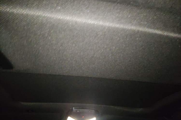Used BMW 5 Series 2020 530Li Luxury Edition M Sport Package Headliner