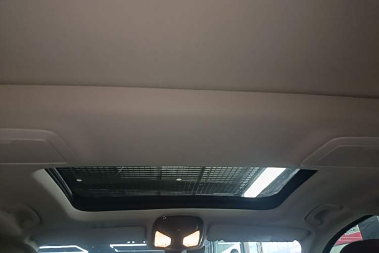 Used BMW 5 Series 2020 530Li Luxury Edition Premium Package Headliner
