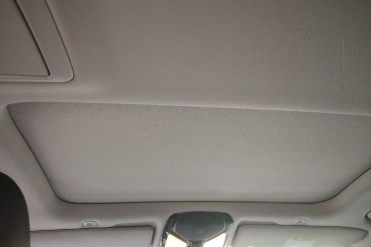 Used BMW 5 Series 2020 530Li Leading Edition Luxury Package Headliner