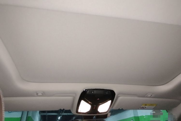 Used BMW 5 Series 2020 530Li Leading Edition Luxury Package Headliner