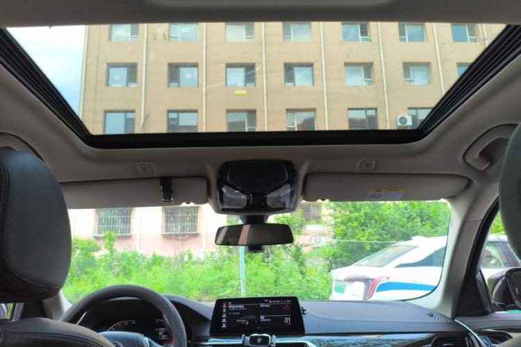 Used BMW 5 Series 2020 525Li Luxury Package Headliner