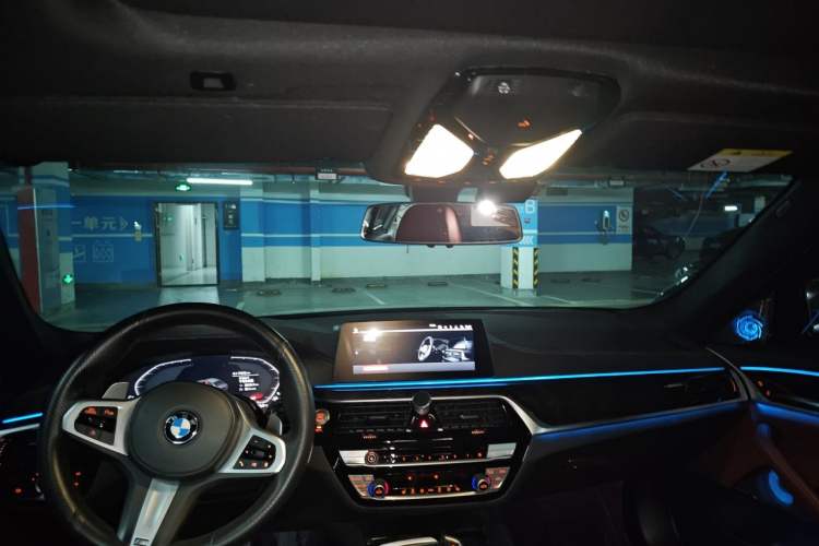 Used BMW 5 Series 2020 530Li Leading Model M Sport Package Headliner