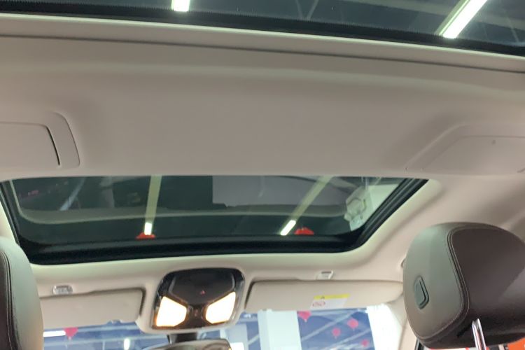 Used BMW 5 Series 2020 530Li xDrive Luxury Package Headliner