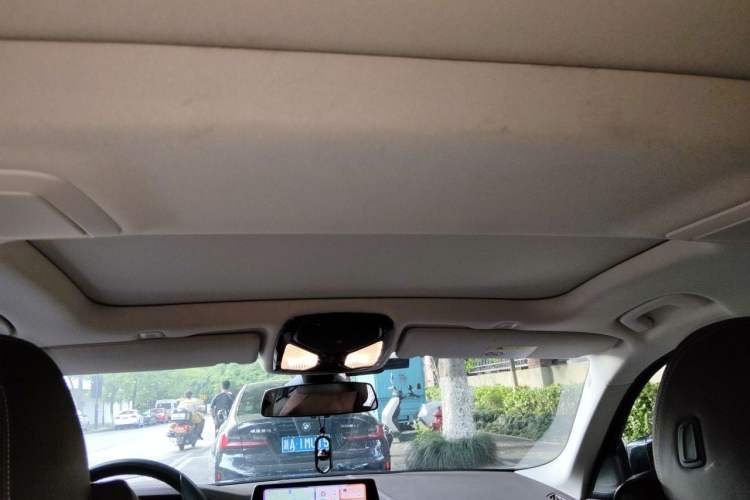 Used BMW 5 Series 2020 530Li xDrive Luxury Package Headliner