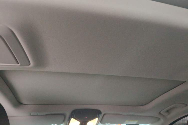Used BMW 5 Series 2020 530Li Leading Edition Luxury Package Headliner