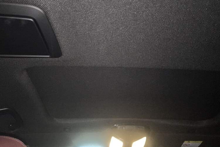 Used BMW 5 Series 2020 530Li Leading Model M Sport Package Headliner