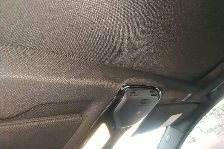 Used BMW 5 Series 2020 530Li Leading Model M Sport Package Headliner