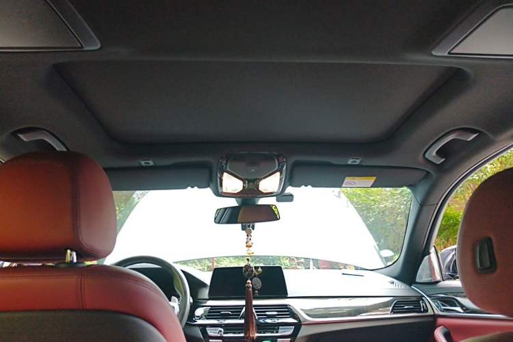 Used BMW 5 Series 2020 530Li Leading Model M Sport Package Headliner