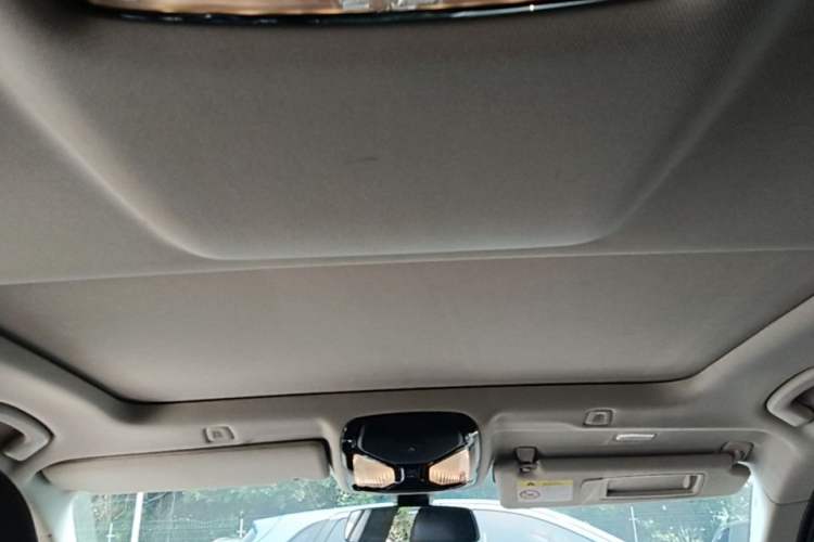Used BMW 5 Series 2020 525Li Luxury Package Headliner
