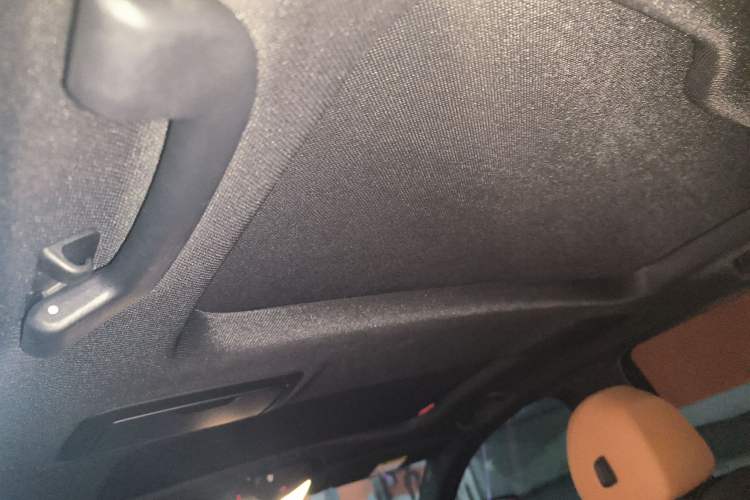 Used BMW 5 Series 2020 530Li Luxury Edition M Sport Package Headliner