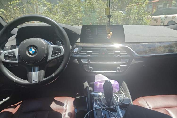 Used BMW 5 Series 2020 530Li Luxury Edition M Sport Package Headliner