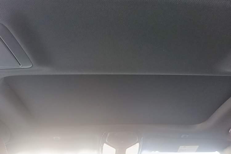 Used BMW 5 Series 2020 530Li Leading Model M Sport Package Headliner