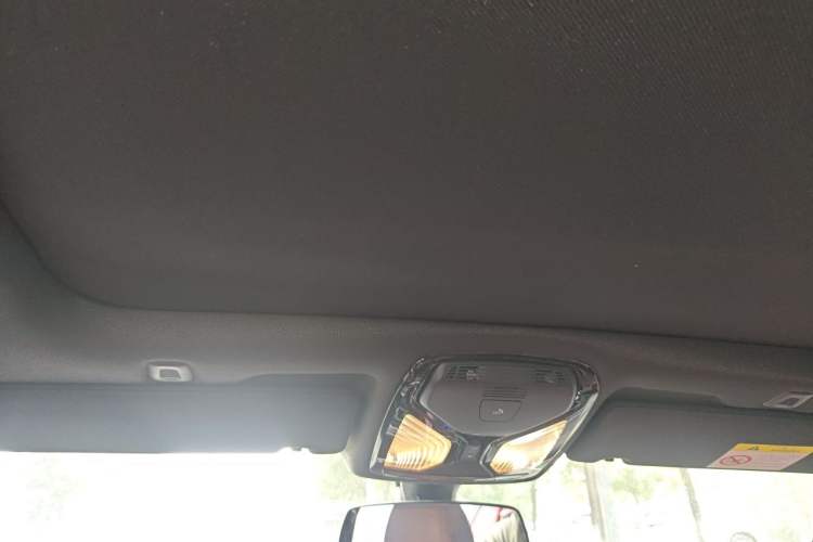 Used BMW 5 Series 2020 530Li Leading Model M Sport Package Headliner