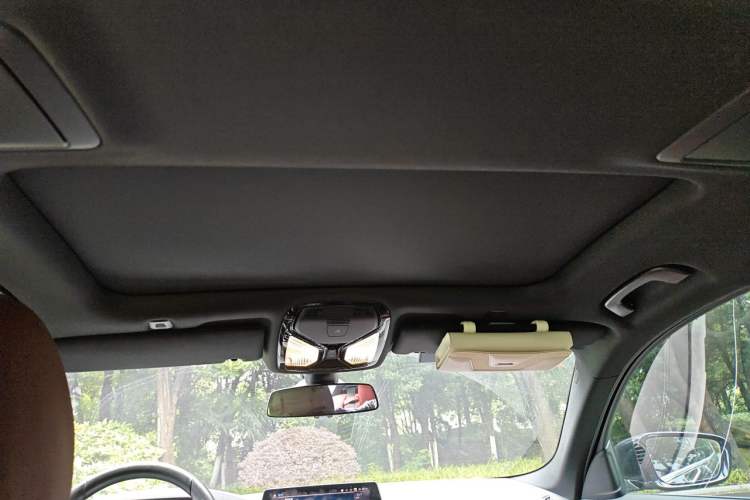 Used BMW 5 Series 2020 530Li Leading Model M Sport Package Headliner