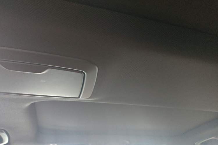 Used BMW 5 Series 2020 530Li Leading Model M Sport Package Headliner