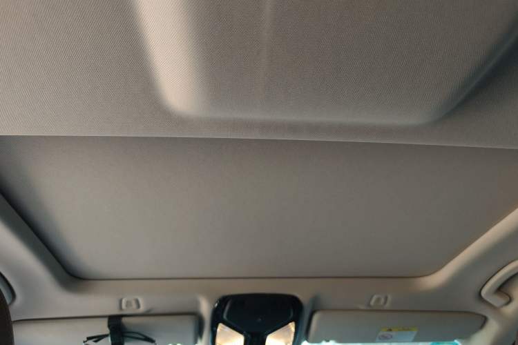 Used BMW 5 Series 2020 525Li Luxury Package Headliner