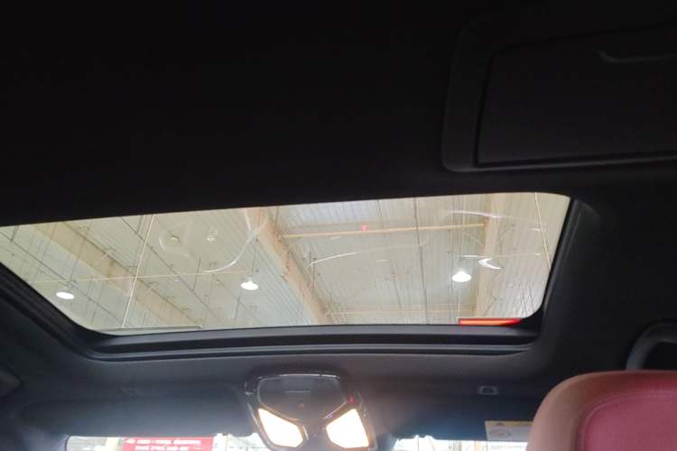 Used BMW 5 Series 2020 530Li xDrive M Sport Package Headliner