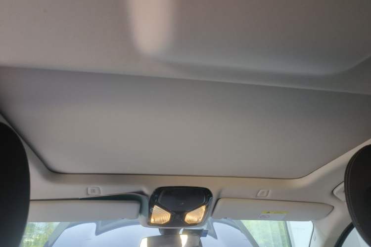 Used BMW 5 Series 2020 525Li Luxury Package Headliner