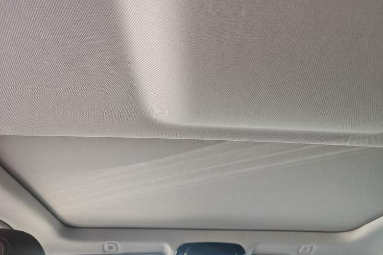 Used BMW 5 Series 2020 525Li Luxury Package Headliner