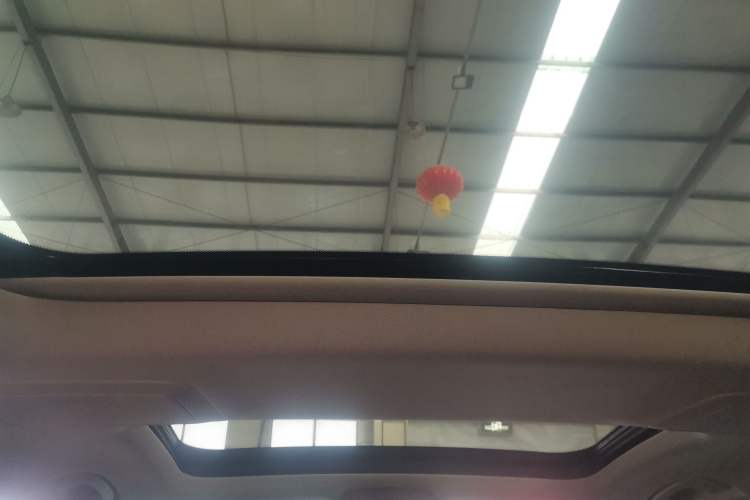 Used BMW 5 Series 2020 530Li xDrive Luxury Package Headliner