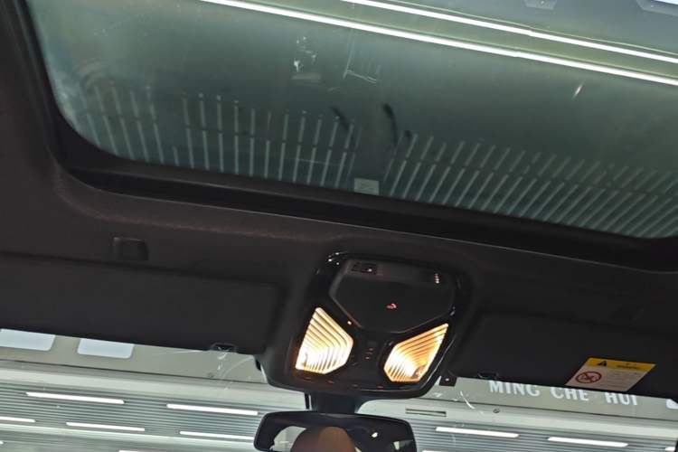 Used BMW 5 Series 2020 530Li xDrive M Sport Package Headliner